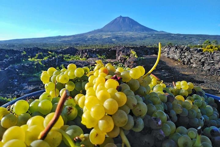 Wein & Essen Tour