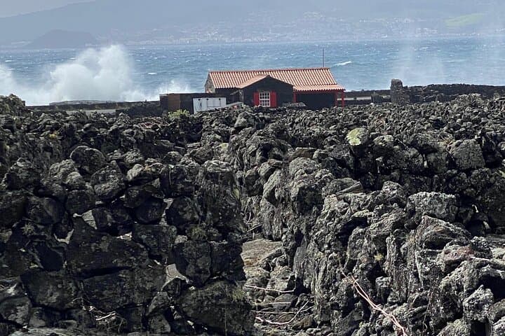 Pico Island von seiner besten Seite