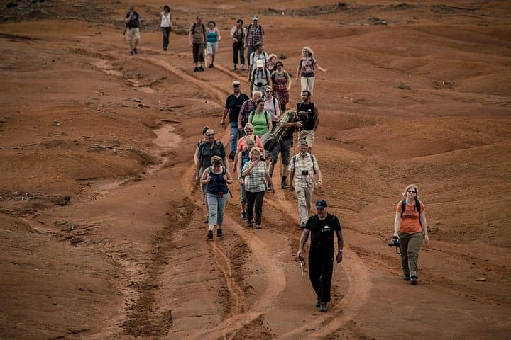 Santa Maria Walks – Hingehen oder Zurückkommen