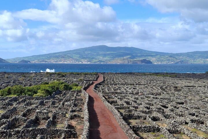 Pico Island Highlights - Private Tour (+ optionale Weinprobe)