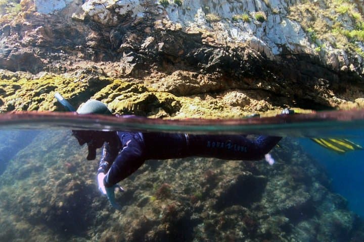 Doppelter Schnorchelausflug in Faial, Azoren