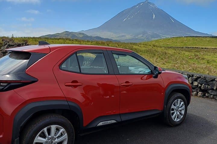 Pico Island : Ihre private halbtägige geführte Erfahrung