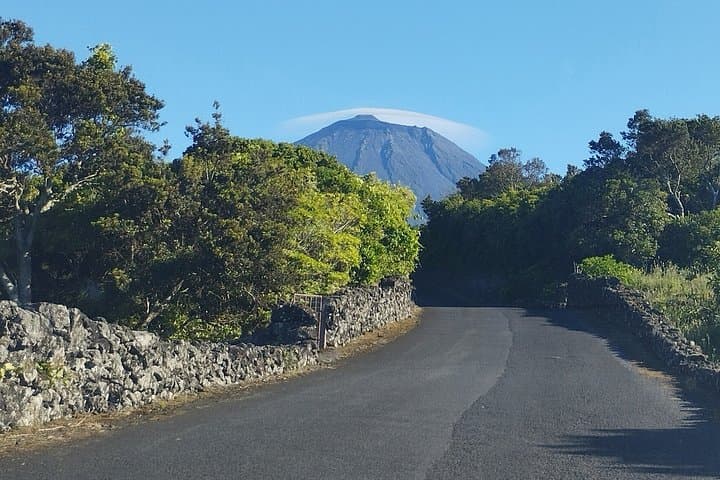 Pico Island Private Welcome Tour mit Flughafen oder Fähre Abholung